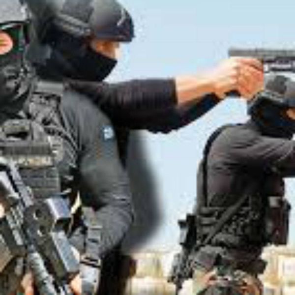 b2ebc33371d4e1135b0356b41a7d0f4d XL d0d3b003