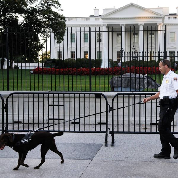 b713d0f2325cae1c82ff2ce86f6a5920 XL d19a242b