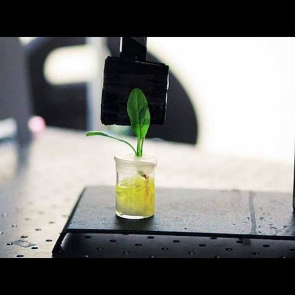 057272e2810262d00907e67c90d36dab XL d37b6f74