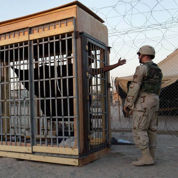 1d3368631835406d8a82be332dc49ee5 XL d3b50368