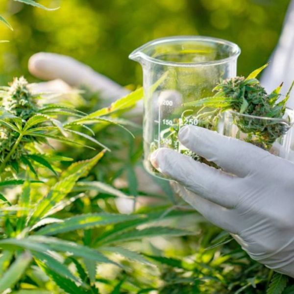 8b611740ee21d364b6514e64ff948281 XL d61a0322