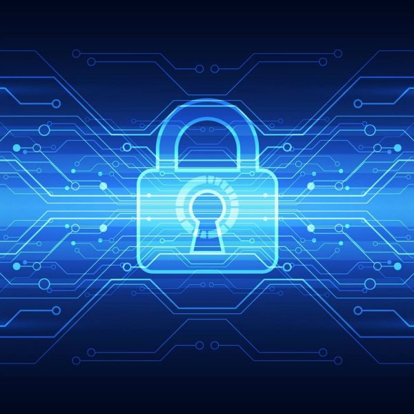 39aa461f42f96a3cea41b1f863eafd3d XL d7c142b3