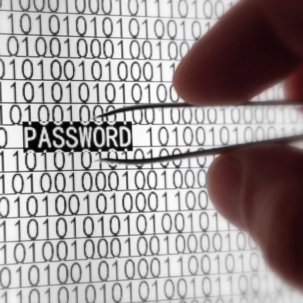 8e013a4c5d0a4c61a59bde31f07252d3 XL d9dd85d2