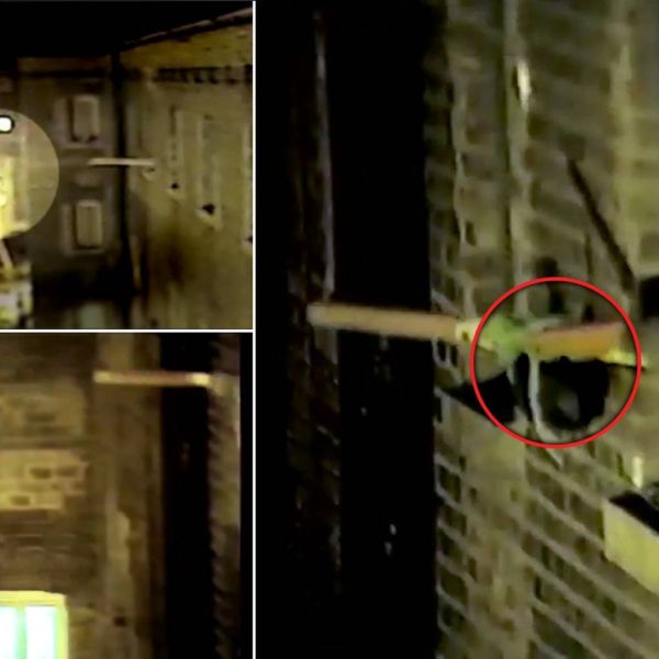 0ea0e8797ce553e1f2fef81bff857868 XL df64873e