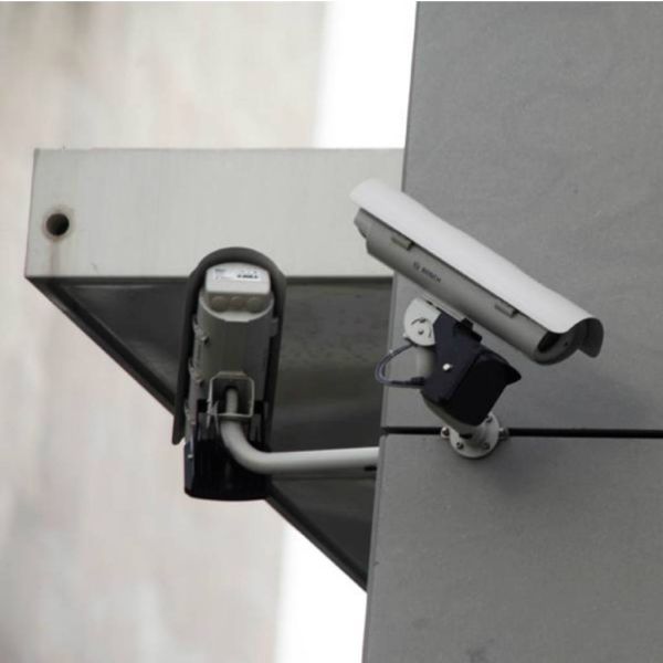 41906b6135338dfc4eaef88f99636113 XL e1ce26f1