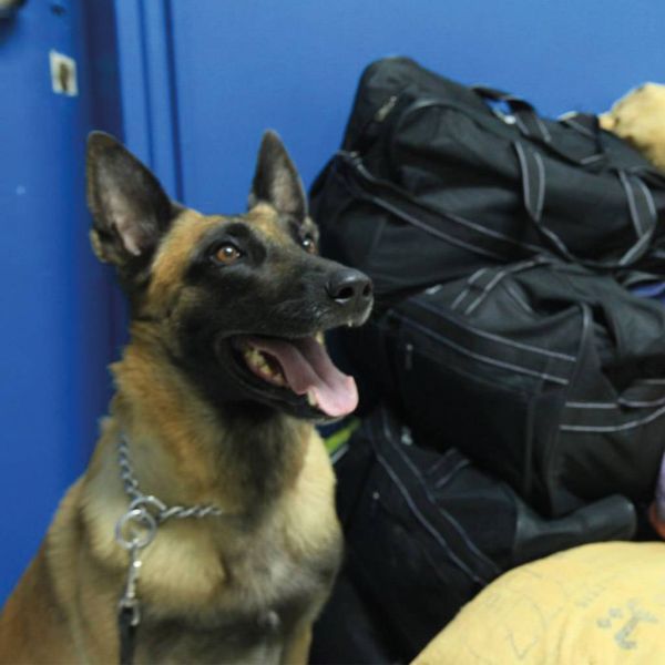 256f1d28767893094218dbbe12498f63 XL e21a4846