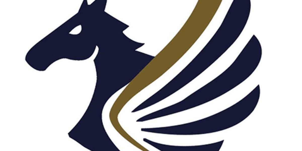 R-CONNECT – Global GPRS module