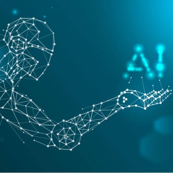 a0253598cc620f1ff837f4fd0a5c78cd XL e7ae2442