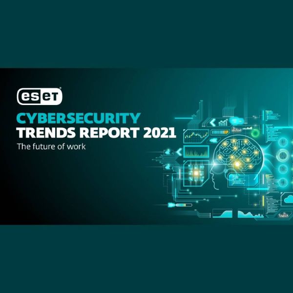 4859f314857f88ea40a24ceb9e093677 XL e85d9bd5