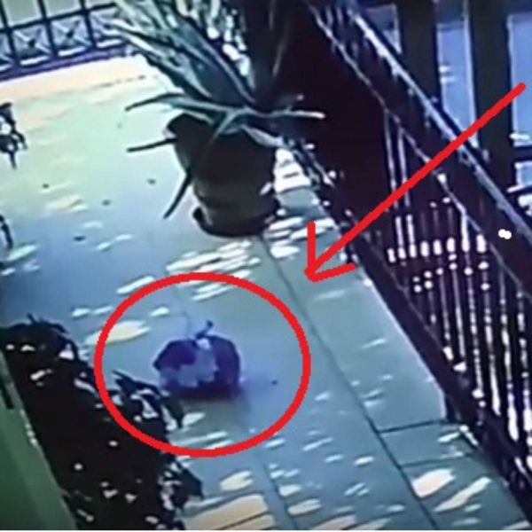 0c69bbe2ed5b621bdb1d6b988e02dbba XL f03e5e4c