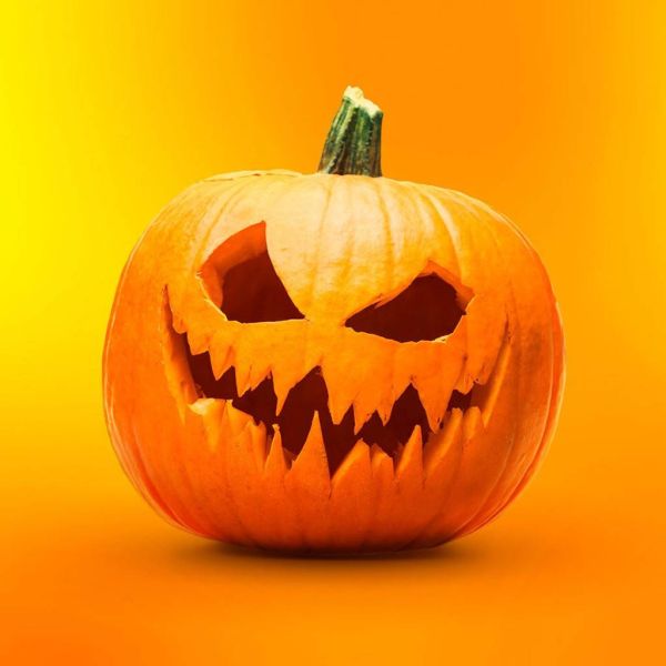 5cf44470d8954a55e958729f8e72665f XL f1329b6d