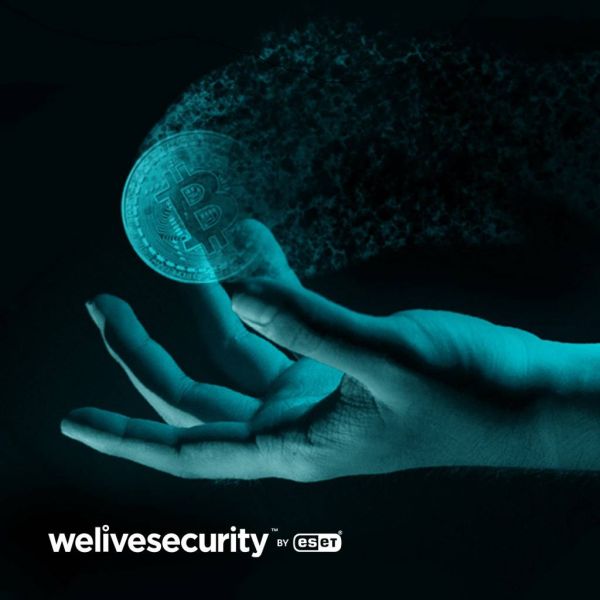 b1ba8bfe3e83b3cdf04cc8cd6f799a75 XL f270180b