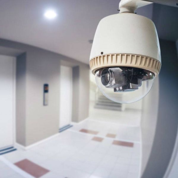 d3aba6f62ed90de53447159b5f467cd7 XL f44130ba