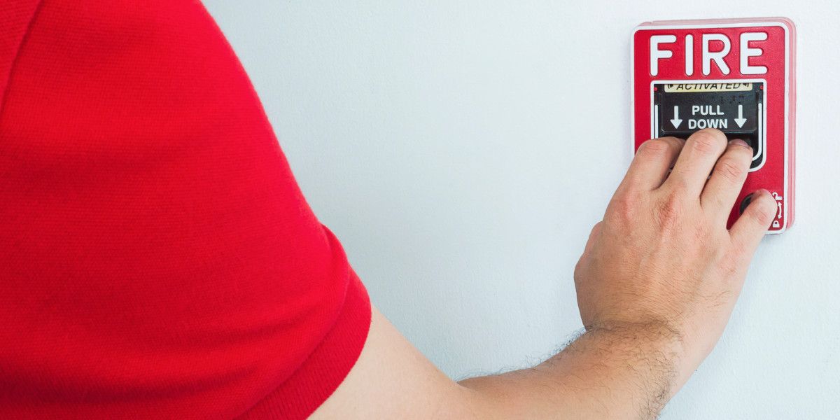 pyrasfaleia f7be91ad