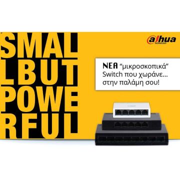 Dahua Access Switches