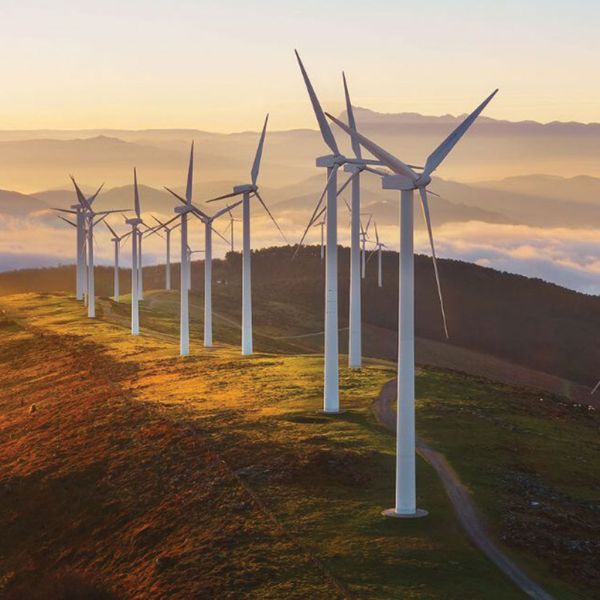 13.divico parka 2 fa0b140c