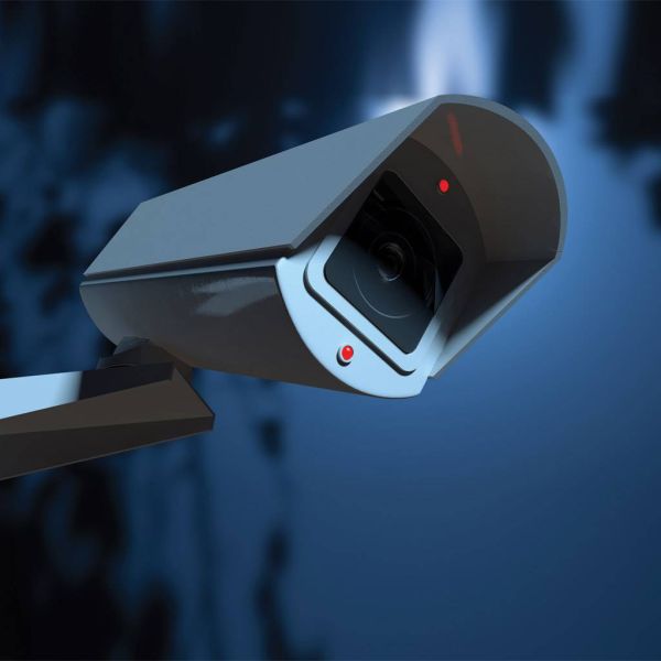 bffce9c0f71d406cfc3324ec4df287f2 XL fd4eb51c