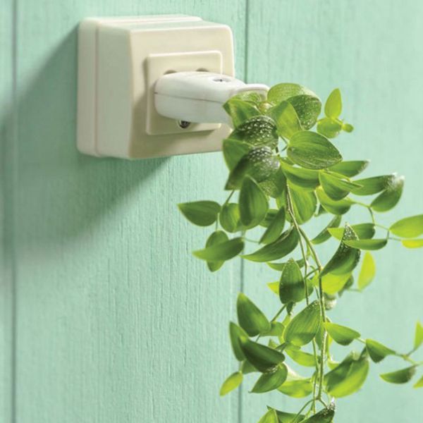 30.axoikonomo evolution fe941387