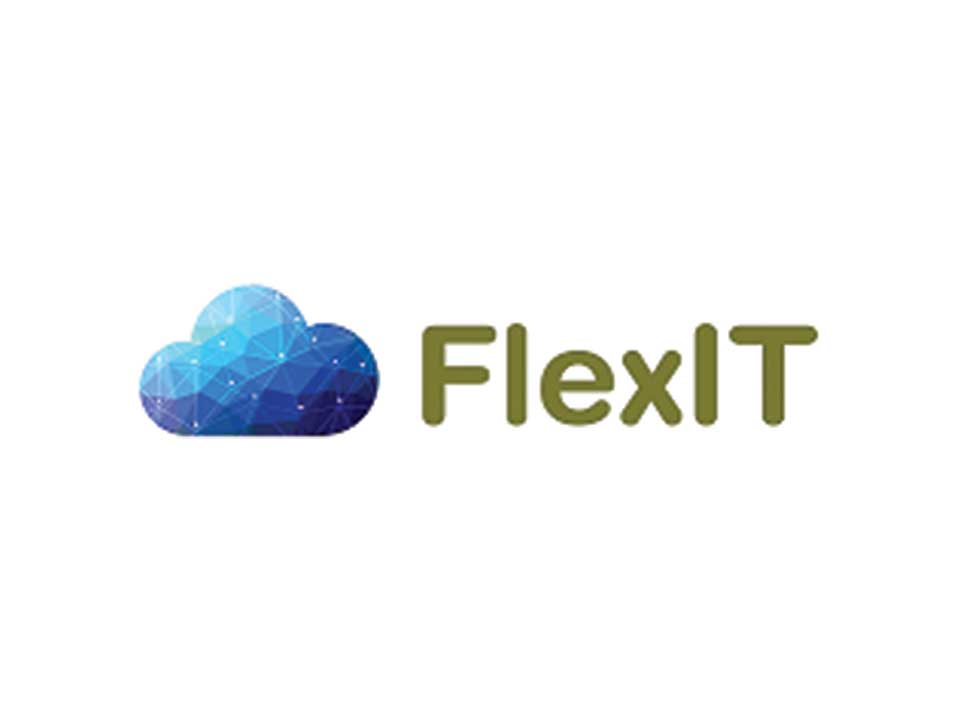 FlexIT Logo