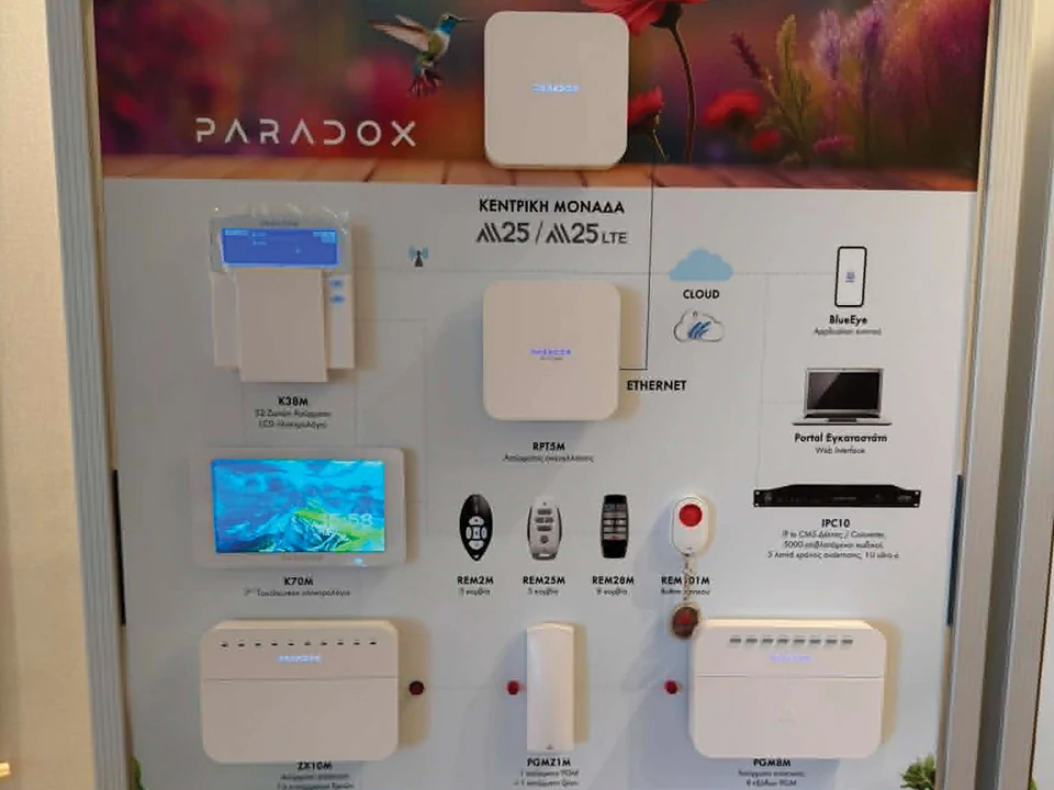 PARADOX-3