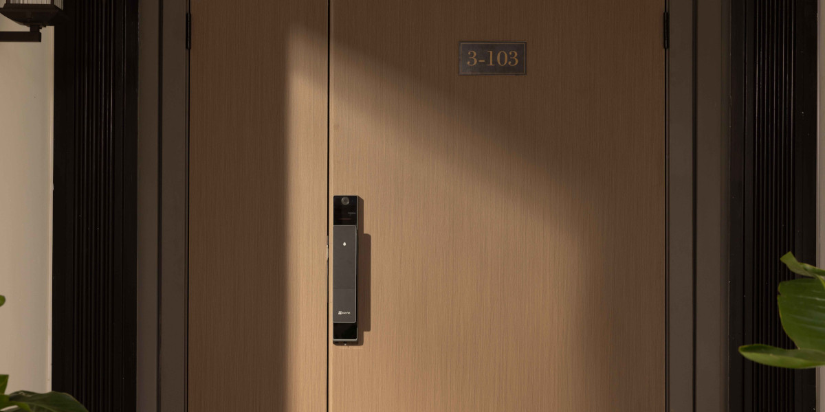 dl501